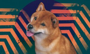 Shiba Inu token holder turns $17 into $5.9 million